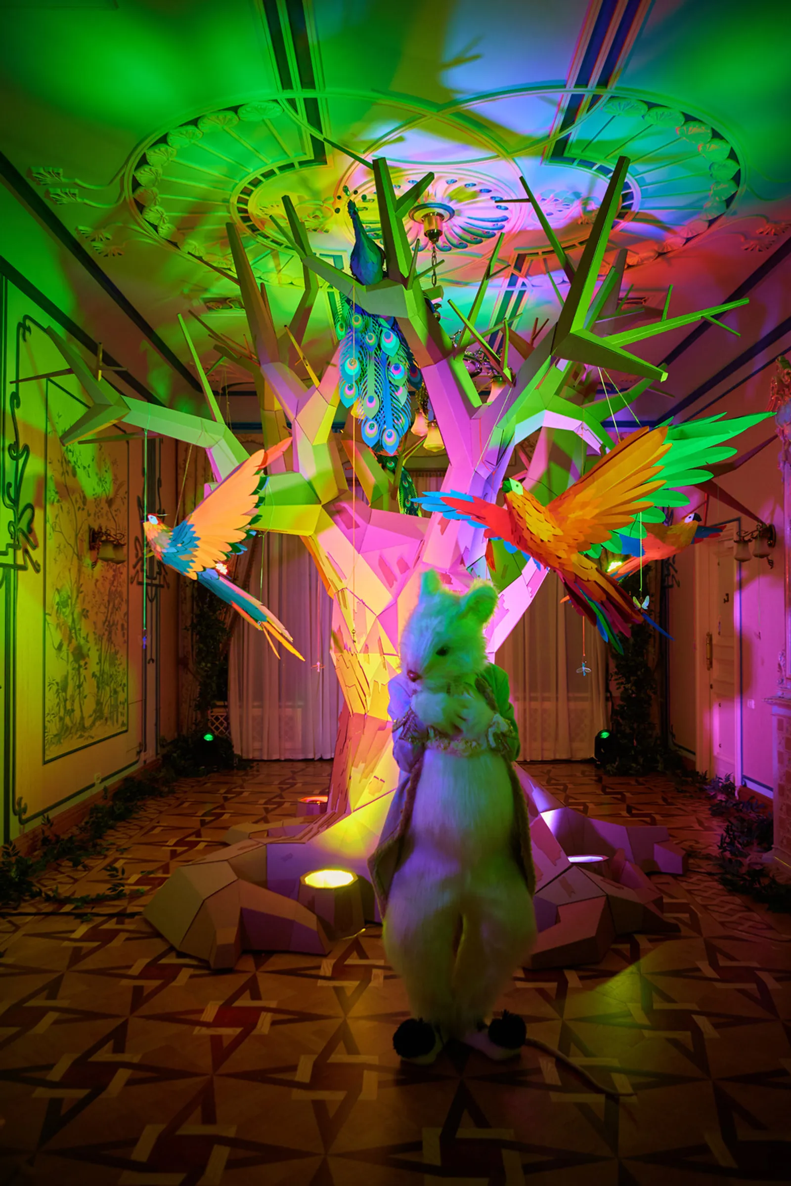 Christmas Experience: House Of Mysterious M… 7